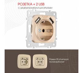 Розетка с заземлением, шторками + 2 USB Arte Milano 205.47-1.shampan