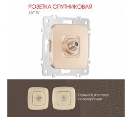 Розетка спутниковая SAT TV Arte Milano 205.42-1.shampan