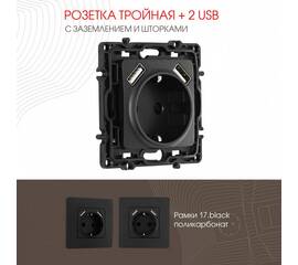 Розетка с заземлением, шторками + 2 USB Arte Milano 217.47-1.black