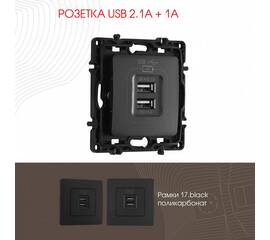 Розетка USB 2.1А+1А Arte Milano 217.46-1.black