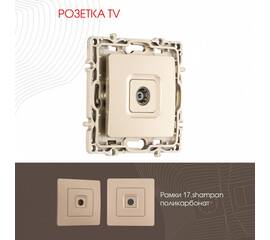 Розетка TV Arte Milano 217.43-1.shampan