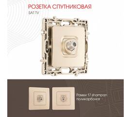 Розетка спутниковая SAT TV Arte Milano 217.42-1.shampan