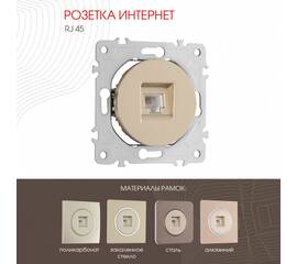 Розетка RJ45 Arte Milano 202.45-1.shampan