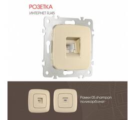 Розетка RJ45 Arte Milano 205.45-1.shampan