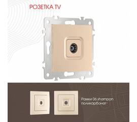 Розетка TV Arte Milano 206.43-1.shampan