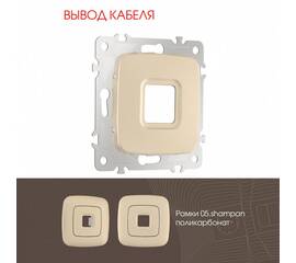 Вывод кабеля Arte Milano 205.49-1.shampan