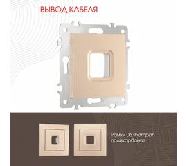 Вывод кабеля Arte Milano 206.49-1.shampan