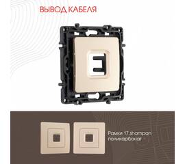 Вывод кабеля Arte Milano 217.49-1.shampan