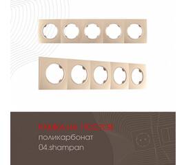 Рамка пятиместная Arte Milano 502.04-5.shampan
