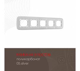 Рамка пятиместная Arte Milano 505.05-5.silver