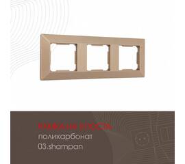 Рамка трехместная Arte Milano 503.03-3.shampan