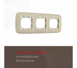 Рамка трехместная Arte Milano 505.05-3.shampan