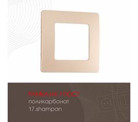 Рамка одноместная Arte Milano 517.17-1.shampan