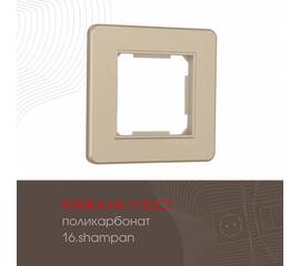 Рамка одноместная Arte Milano 502.16-1.shampan