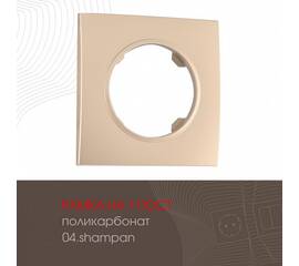 Рамка одноместная Arte Milano 502.04-1.shampan