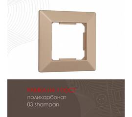 Рамка одноместная Arte Milano 503.03-1.shampan