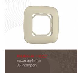 Рамка одноместная Arte Milano 505.05-1.shampan