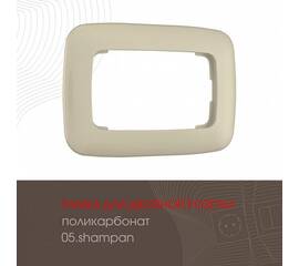 Рамка для двойной розетки Arte Milano 505.05-double.shampan