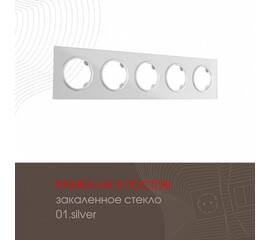 Рамка пятиместная Arte Milano 502.01-5.silver