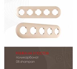 Рамка пятиместная Arte Milano 502.08-5.shampan