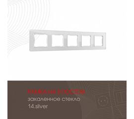 Рамка пятиместная Arte Milano 503.14-5.silver