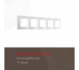 Рамка пятиместная Arte Milano 517.17-5.silver