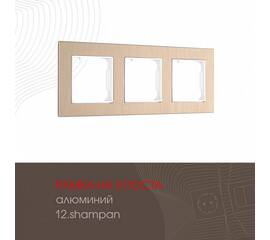 Рамка трехместная Arte Milano 503.12-3.shampan