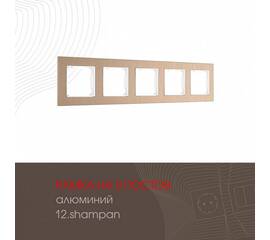 Рамка пятиместная Arte Milano 503.12-5.shampan