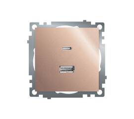 Розетка 2-местная USB + type C Stekker Катрин GLS10-7116-02 50056