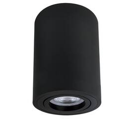 Накладной светильник Arte Lamp Sentry A1566PL-1BK