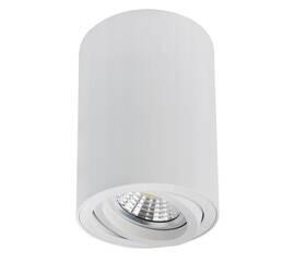 Накладной светильник Arte Lamp Sentry A1566PL-1WH