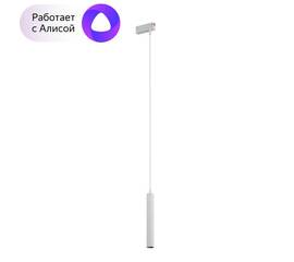 Трековый светодиодный светильник Denkirs DK8008-WH