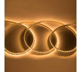 Светодиодная лента General GLS-2835-120-9.6-220-IP67-3 504415