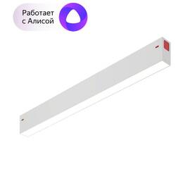 Трековый светодиодный светильник Denkirs DK8004-WH