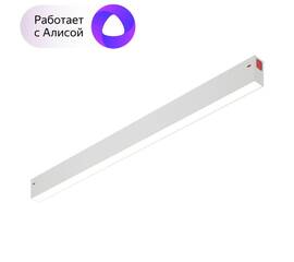 Трековый светодиодный светильник Denkirs DK8005-WH