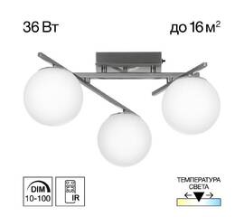 Потолочная люстра Citilux Dorsy CL223131