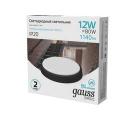Настенно-потолочный светильник Gauss Basic 193411312B