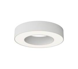Потолочный светильник Maytoni Technical Lua C093CL-24W4K-W