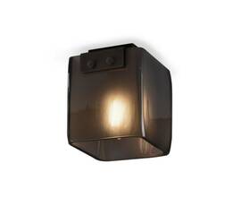 Потолочный светильник Delight Collection Malbridge 5061C black/smoky