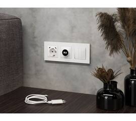 Комплект механизма электрической розетки 2USB С+C 20W с/з на винтовых зажимах 16A-250V Alfa Белый гл
