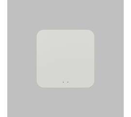 Конвертер WiFi-Zigbee/BLE для умного дома Denkirs Zigbee Control DK7402-WF