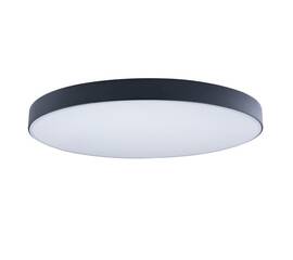 Потолочный светодиодный светильник Loft IT Axel 10002/48 black