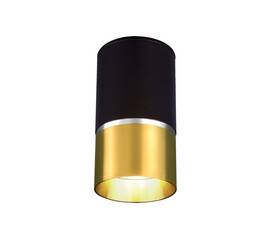 Потолочный светильник Elektrostandard DLN106 GU10 золото a047729