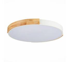 Потолочный сетодиодный светильник Evoluce Delia SLE201352-01