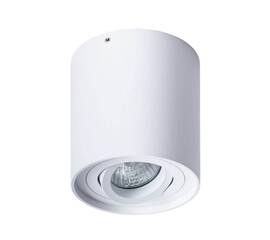 Потолочный светильник Arte Lamp Falcon A5645PL-1WH
