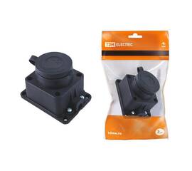 Розетка 2P+PE TDM Electric с заглушкой SQ0612-0003