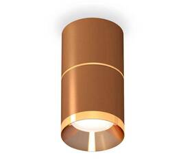 Комплект накладного светильника Ambrella light Techno Spot XS7404061 SCF/PYG кофе песок/золото желтое полированное (C7404, A2072, C7404, N7034)