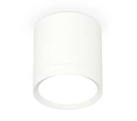 Комплект накладного светильника Ambrella light Techno Spot XS (C8141, N8112) XS8141001