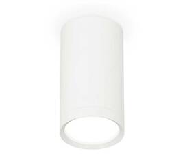 Комплект накладного светильника Ambrella light Techno Spot XS (C8161, N8112) XS8161001