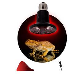 Инфракрасная лампа для брудера, рептилий Эра CeramiHeat FITO-100W-НQ Б0052715